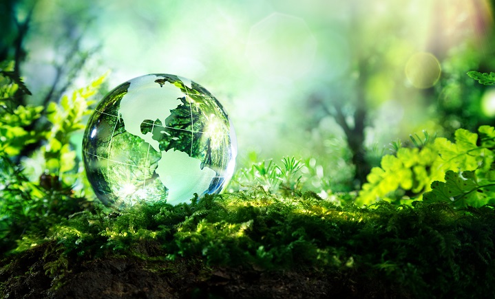 The contribution of local actors to climate policies and the sustainable development agenda